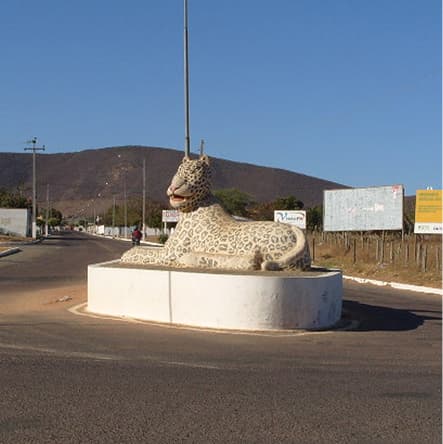 Estátua da onça